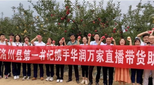 华润万家携手洛川县第一书记直播卖苹果