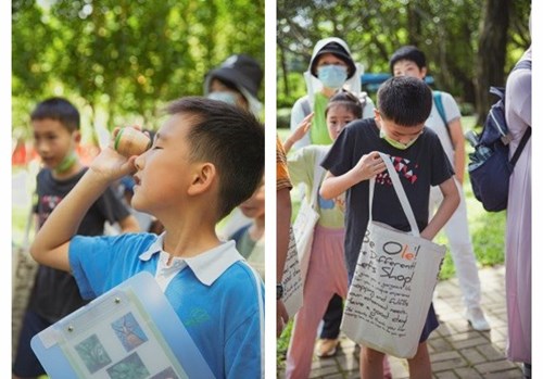 Olé举办“永续生活”系列自然教育公益活动