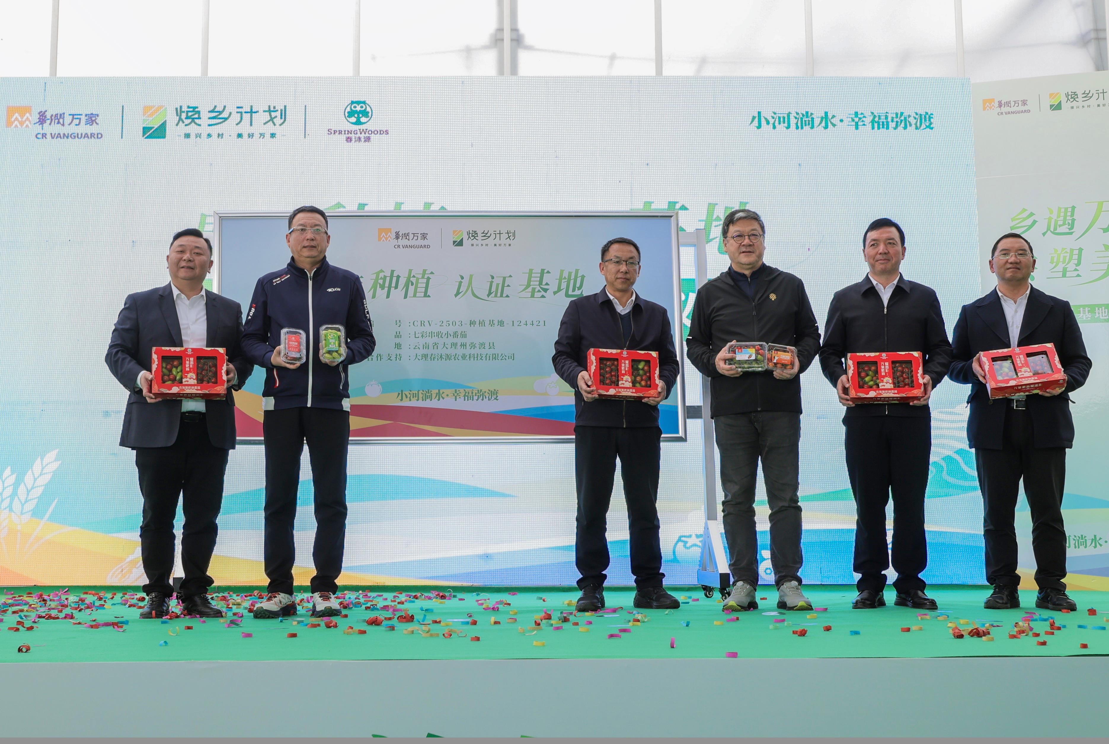 华润万家焕乡计划之百家基地建设首站，大理七彩串收番茄果蔬种植认证基地正式揭幕